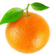Fruit